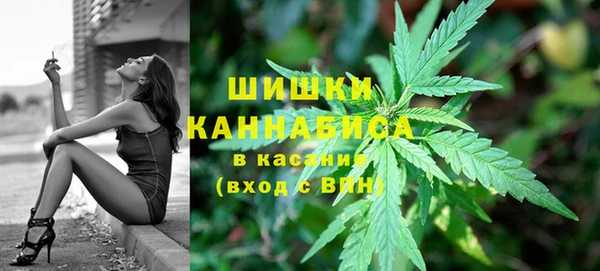 прущий лед Абаза