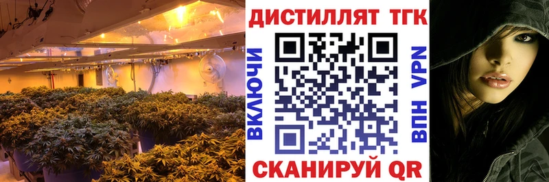 ТГК вейп  как найти   Копейск 