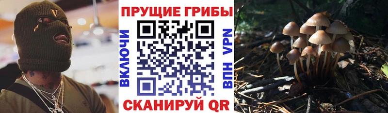 Псилоцибиновые грибы прущие грибы  магазин продажи   Копейск 