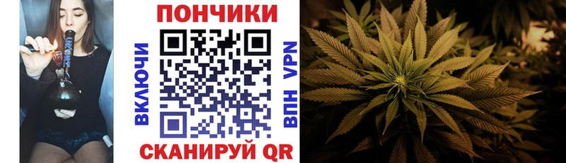 даркнет сайт  Копейск  Конопля ГИДРОПОН 